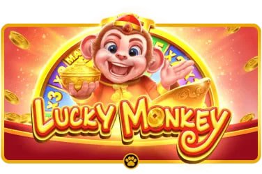 Live casino games section on ppgaming with real-time dealer streams